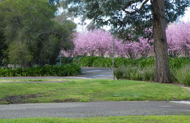 Lake Hamilton Motor Village & Caravan Park - Foto 38