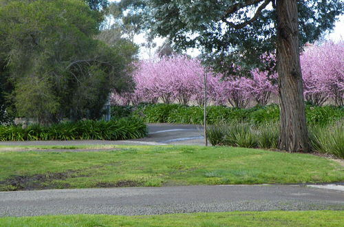 Photo 38 - Lake Hamilton Motor Village & Caravan Park