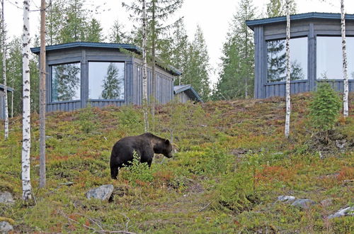 Photo 1 - Bear Centre