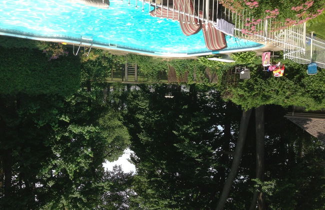 Chateau Olivier - Photo 10