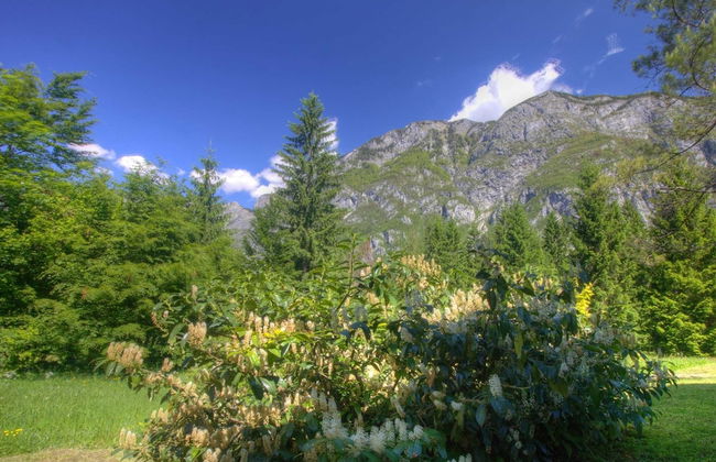Balmy Apartment in Bohinjsko Jezero near Lake - Foto 19