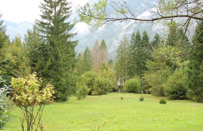 Balmy Apartment in Bohinjsko Jezero near Lake - Foto 34