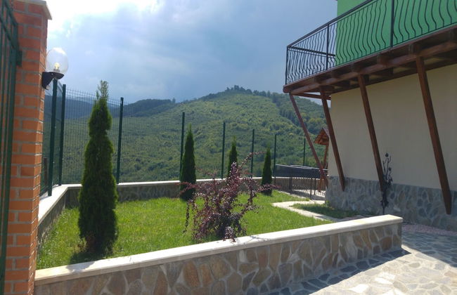 Vila Dintre Vii - Foto 11