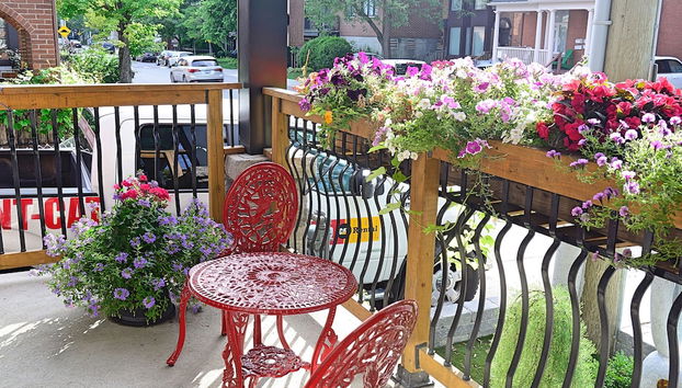 Terraço/pátio interior