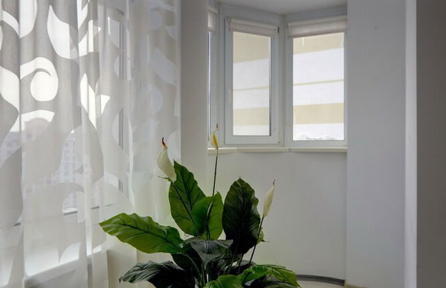 Sophie Apartments - Photo 78