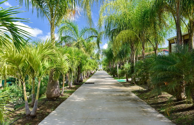 Le Village de la Pointe - Foto 56