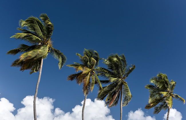 Le Village de la Pointe - Foto 55