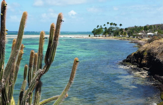 Le Village de la Pointe - Foto 43