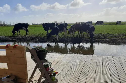 Foto 4 - Prive Jacuzzi, Cows, Dairyfarm, Relaxing, Sleeping