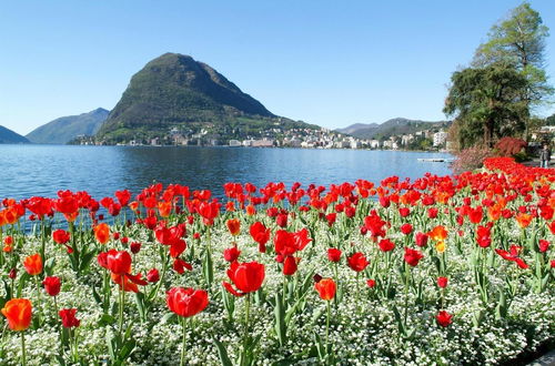 Photo 13 - Lugano Centro in Lugano