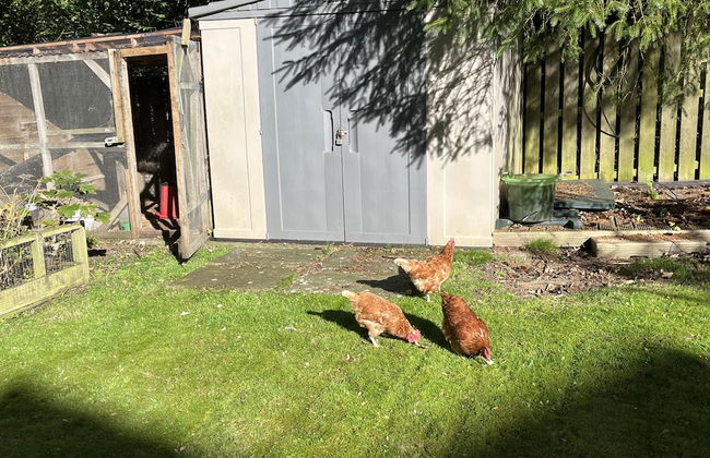 Blaydonburn - Sleeps 4,5 - Parking - Hottub - Yard - Foto 38