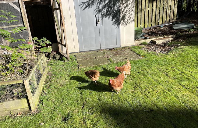 Blaydonburn - Sleeps 4,5 - Parking - Hottub - Yard - Foto 39