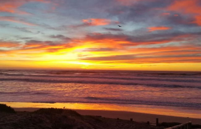 South Brighton Holiday Park - Foto 51