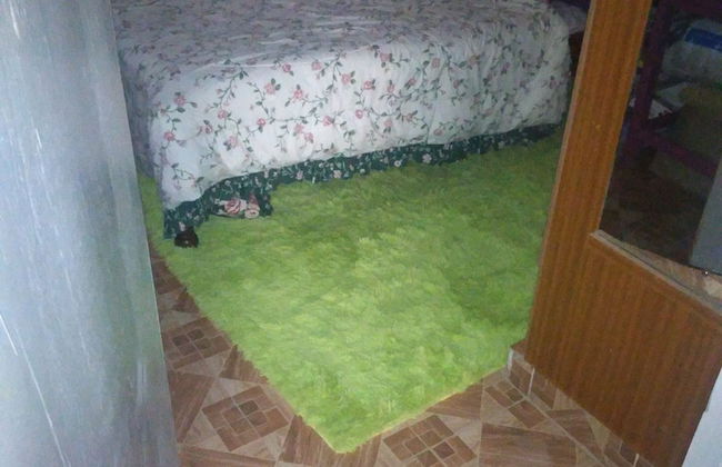 VIV HAVEN - Foto 2