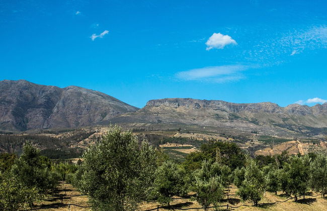 Village Lodge Paarl - Foto 41