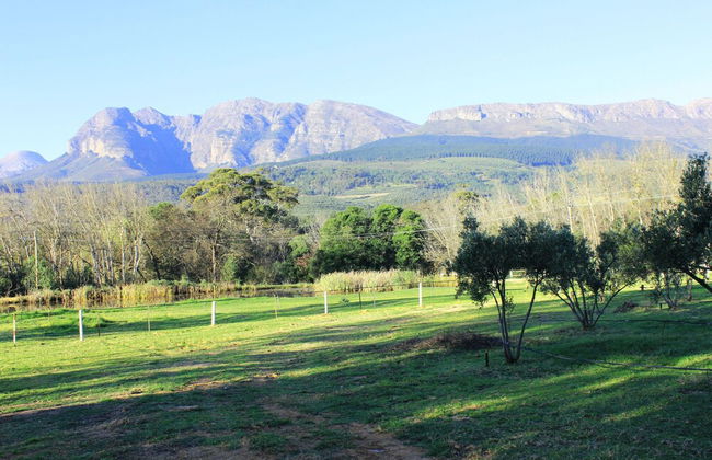 Village Lodge Paarl - Foto 39