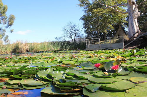 Photo 46 - Le Jardin Villa