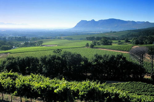 Photo 18 - Cosy Chalet With Private Patio in Constantia, the Leafy Suburb of Cape Town