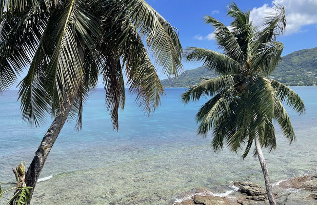 VallonEnd Beach Front Villa - Foto 51