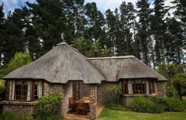 Coral Tree Cottages - Foto 25