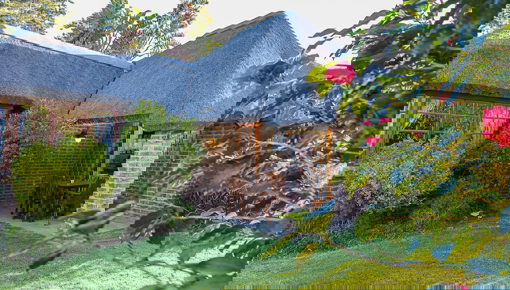 Imagem principal