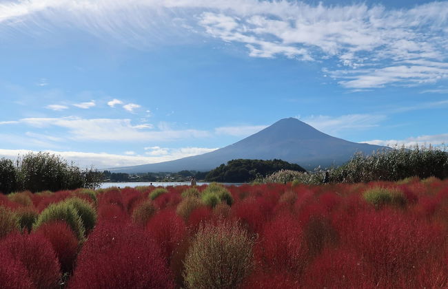 Kuranoyado Matsuya - Foto 71