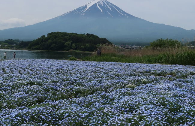 Kuranoyado Matsuya - Foto 64