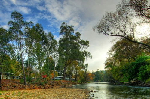 Foto 60 - Discovery Parks - Mount Buffalo