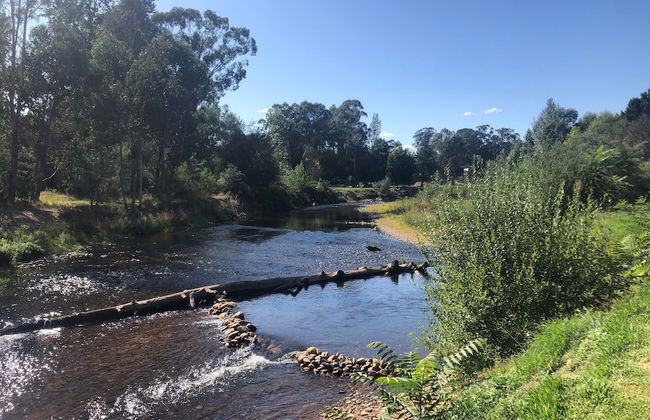 Discovery Parks - Mount Buffalo - Foto 68