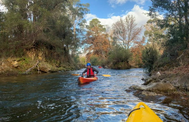 Discovery Parks - Mount Buffalo - Foto 61