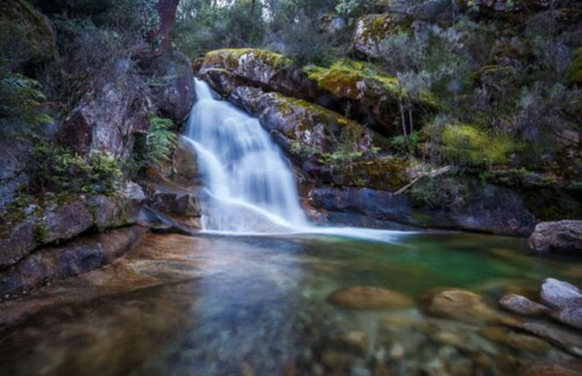 Discovery Parks - Mount Buffalo - Foto 70