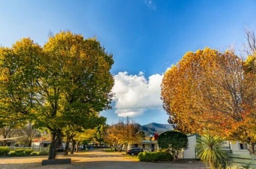 Foto 38 - Discovery Parks - Mount Buffalo