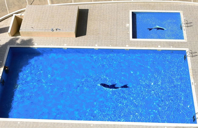 Ajwan Hotel Apartments - Foto 19