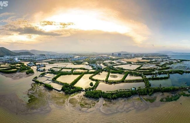 NHATUIshare Quy Nhon - Foto 49