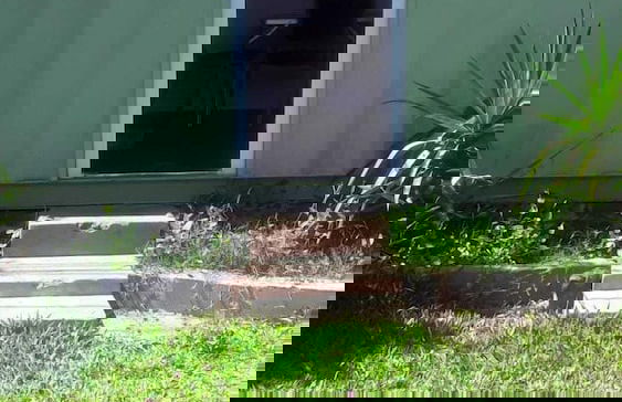 Módulo Monoambiente - Photo 2