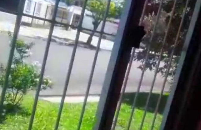 Módulo Monoambiente - Photo 8