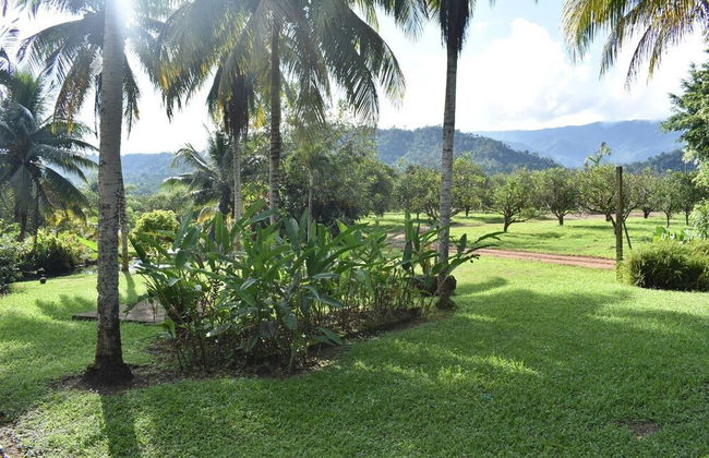 Orchard House - Foto 12