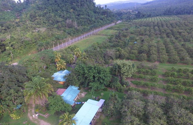 Orchard House - Foto 19