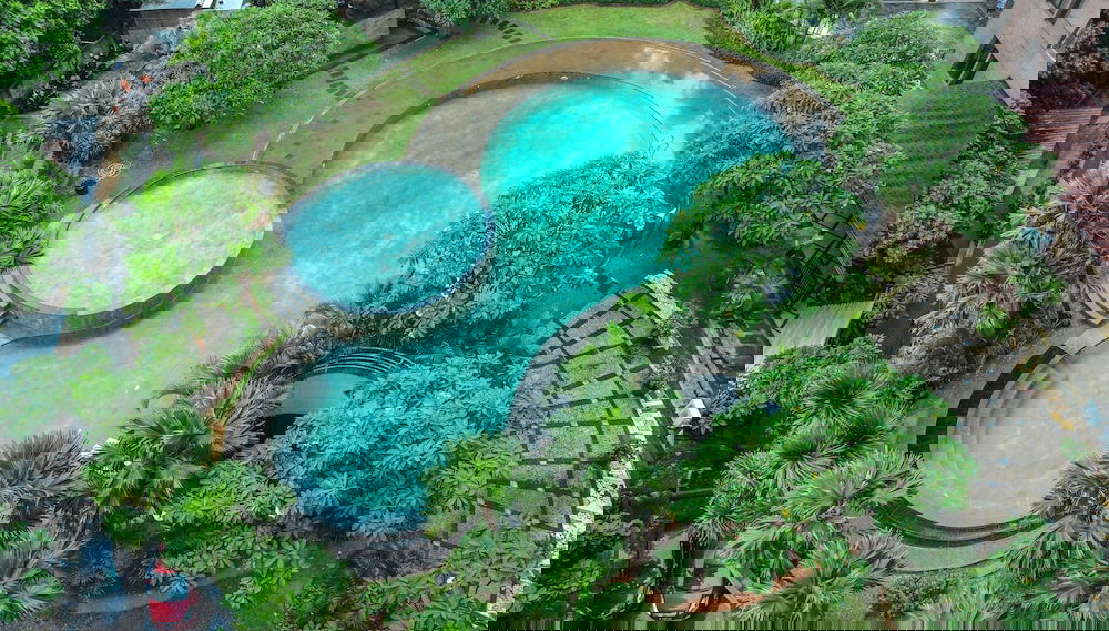 Image principale