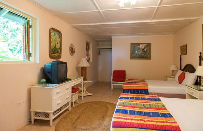 VILLA VIENTO - Photo 5