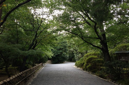 Photo 34 - Oyado Kiyomizu Shichifuku