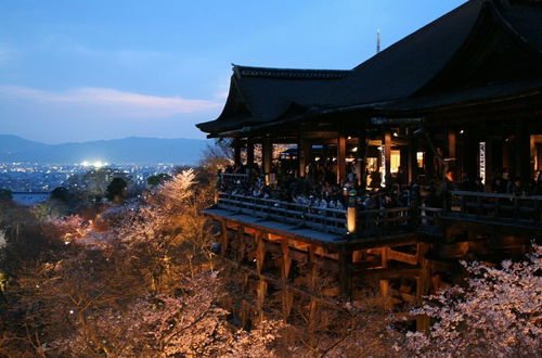 Photo 18 - Oyado Kiyomizu Shichifuku