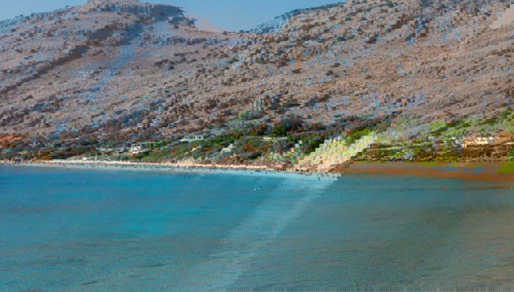 Primary image
