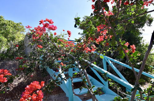 Photo 11 - Charming Mediterranean House Surrounded by a Natural Oasis