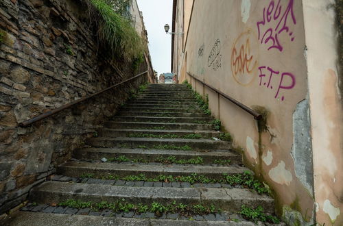 Photo 19 - [close to San Pietro and Castel S. Angelo] Loft Gianicolo