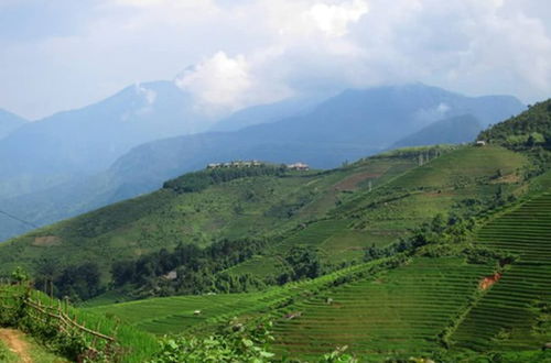 Foto 12 - Sapa Homestay In Remote Village