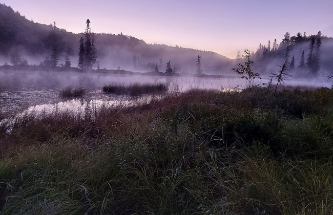 Nice Accommodation at the Grand Héron - Photo 11