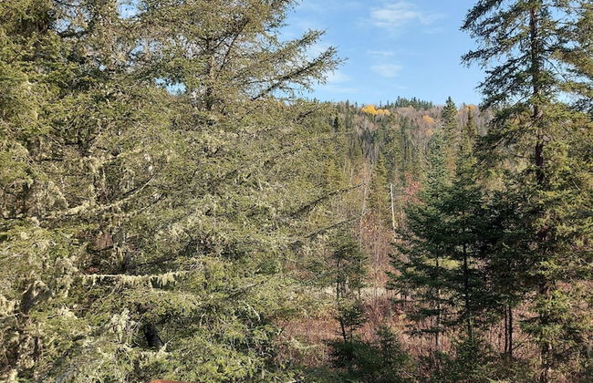 Nice Accommodation at the Grand Héron - Photo 27