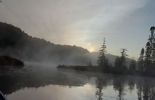 Nice Accommodation at the Grand Héron - Photo 10