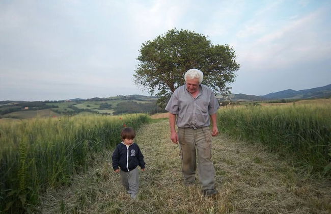 Casa Spiga Agriturismo Le Selvole - Tuscany - Foto 27